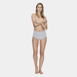 JBS of Denmark 3 par grå bambus maxi trusser til kvinder fra*Dame Trusser